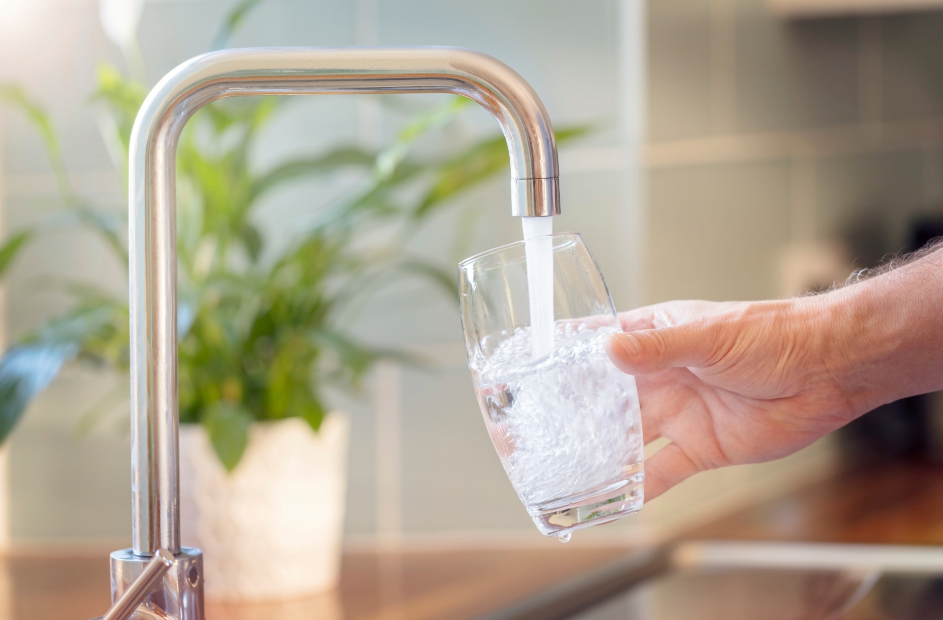 water softener